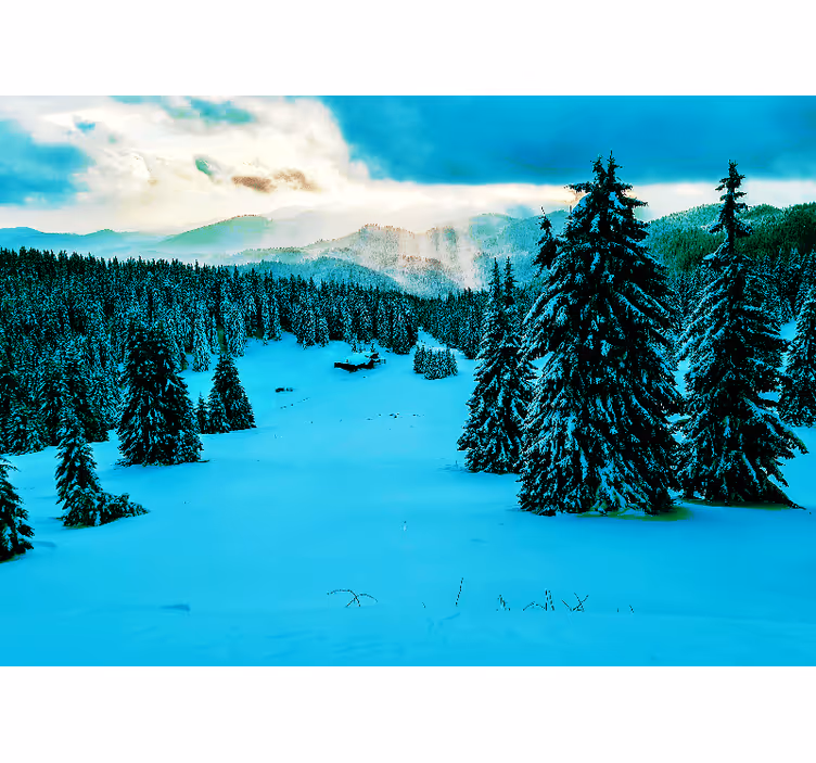 Fototapet peisaje pădure de pini înzăpeziți - TenStickers