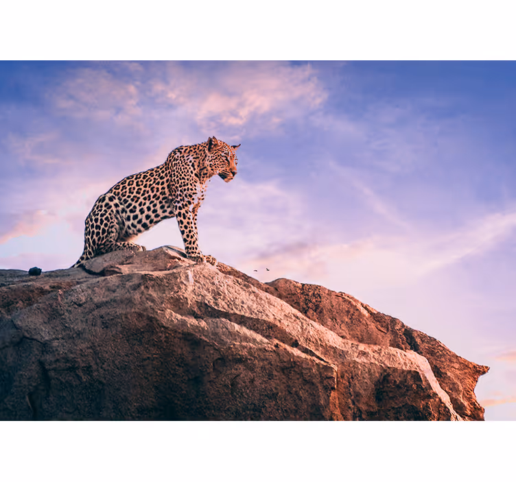 Fototapet animale leopard pe stâncă - TenStickers