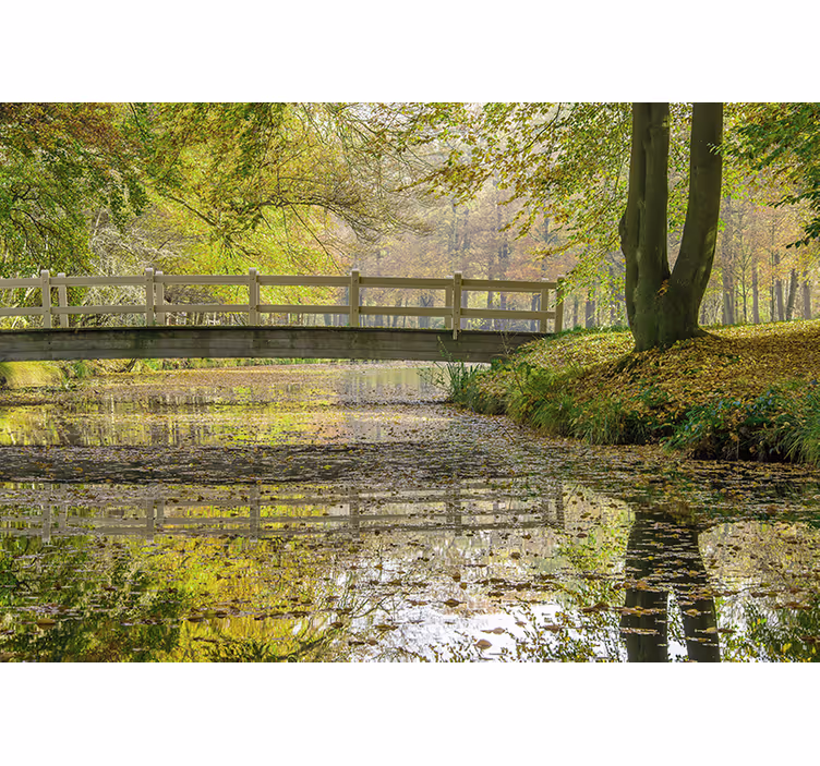 Fototapet natura podul senin al râului - TenStickers