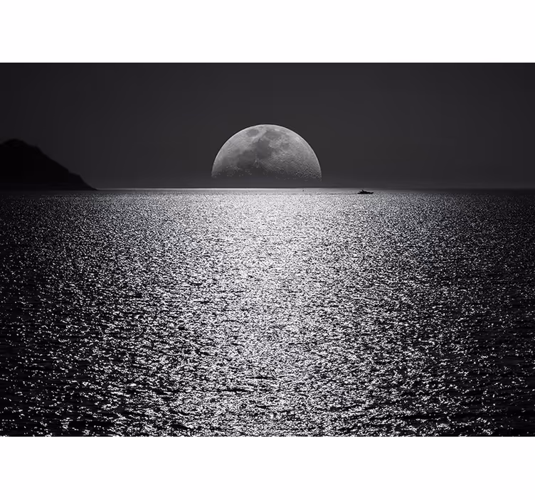Fototapet mare vedere la lumina lunii - TenStickers