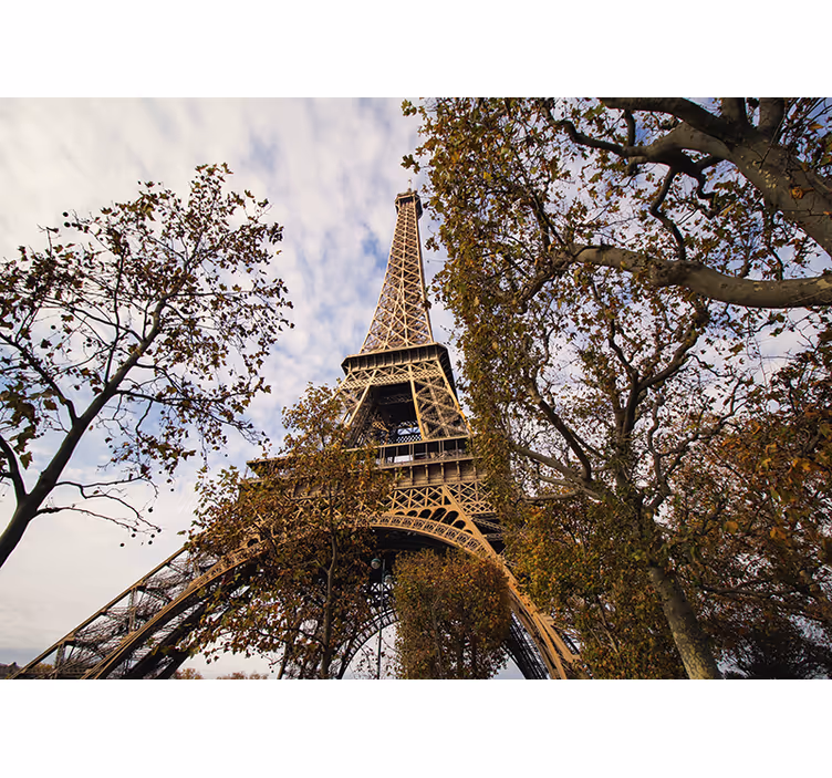 Fototapet paris perspectivă scenică turn eiffel - TenStickers