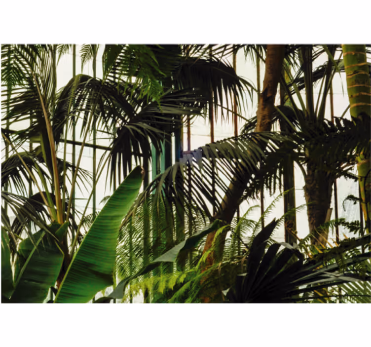 Fototapet natura frunziș tropical viu - TenStickers