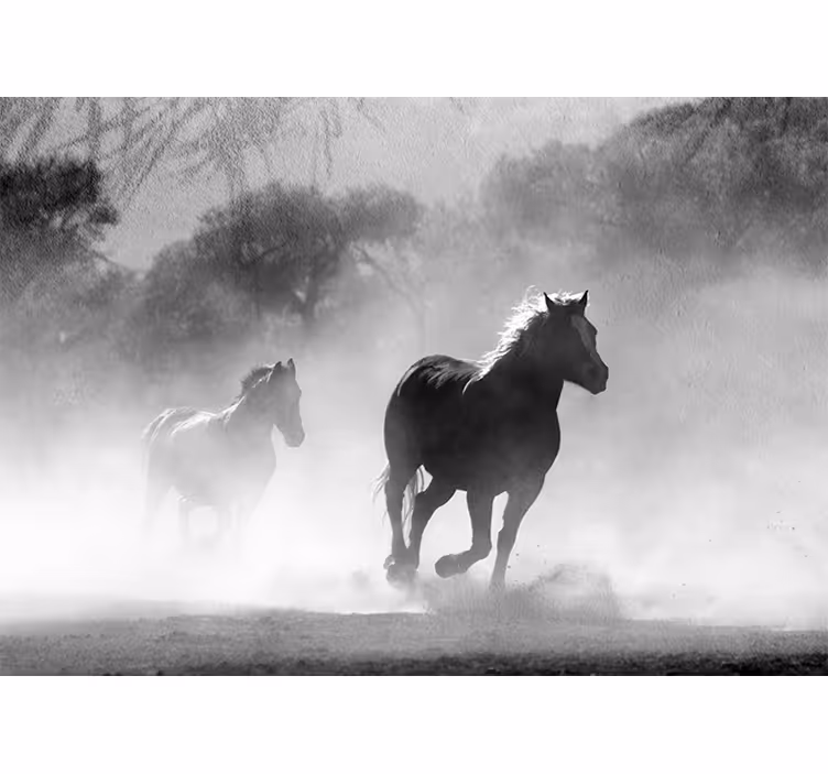 Fototapet animale doi cai alergători - TenStickers