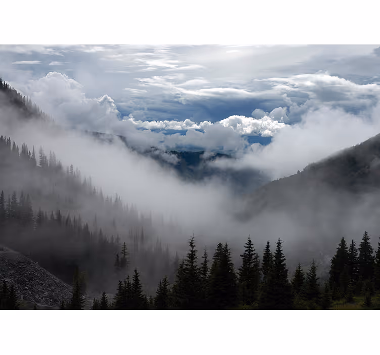 Fototapet peisaje peisaj de pădure încețoșată - TenStickers