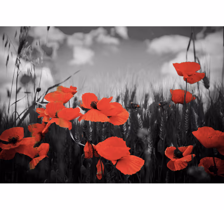 Fototapet maci flori florale radiante - TenStickers