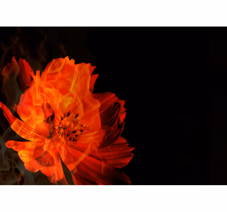 Picturi murale de flori izbucnire florală de foc - TenStickers