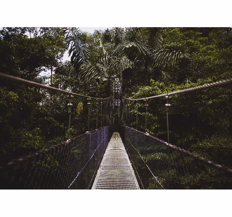 Fototapet natura aventura podului suspendat - TenStickers