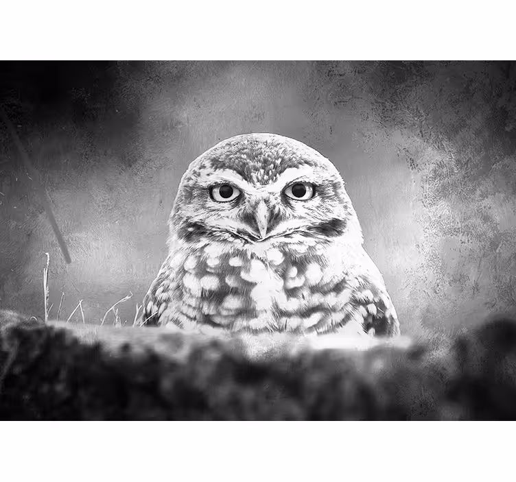 Fototapet animale portret de bufniță maiestuos - TenStickers