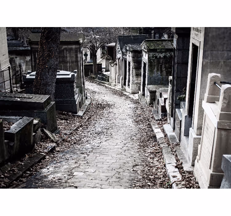 Fotomuraluri cu alte orașe și țări peisaj cu alee de cimitir - TenStickers
