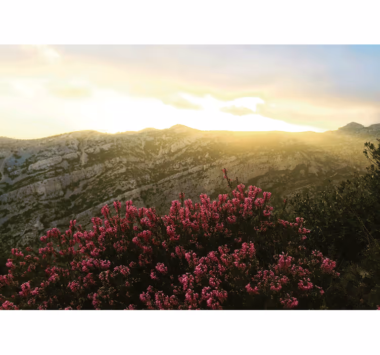 fototapetpentru baie de munte și flori roz - TenStickers