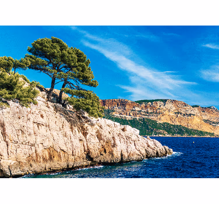Fototapet natura peisaj de pin de coastă - TenStickers