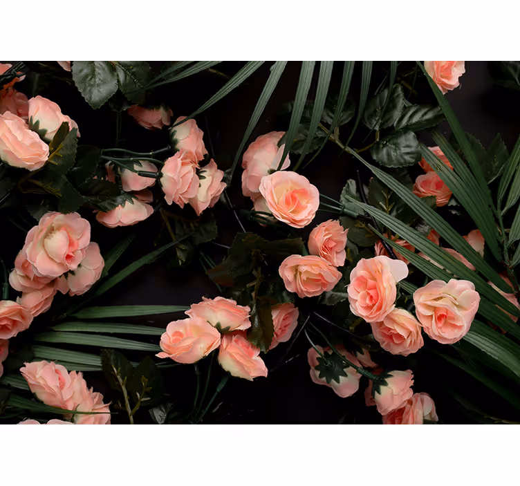 Fototapet cu flori trandafiri roz pal - TenStickers