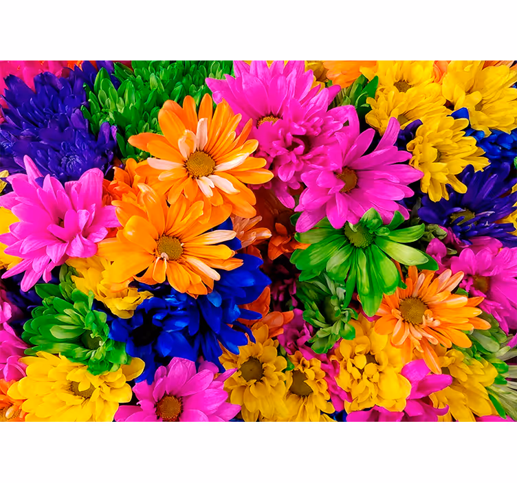 Fototapet cu flori aranjament botanic colorat - TenStickers