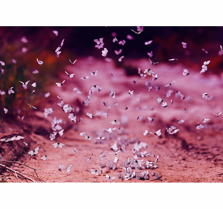 Fototapet cu flori dansul delicat al fluturilor - TenStickers