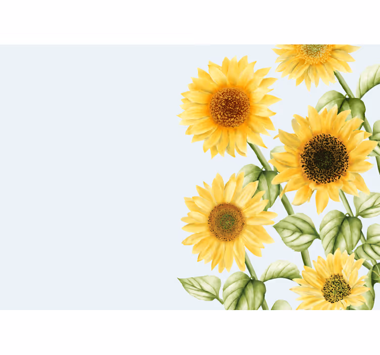 Fototapet cu flori flori de soare în expunere - TenStickers