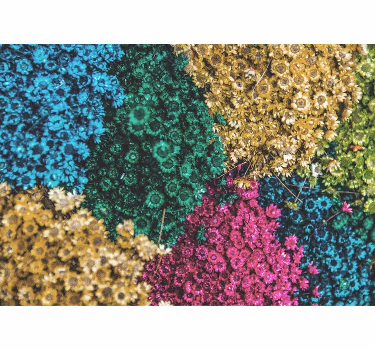 Fototapet cu flori modele florale colorate - TenStickers