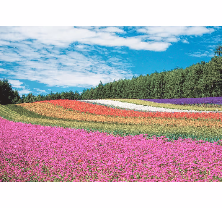 Fototapet cu flori peisaj floral vibrant - TenStickers