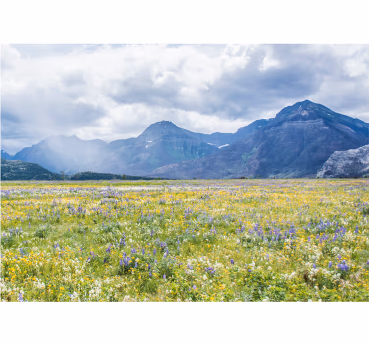 Fototapet peisaje câmp de flori montane - TenStickers