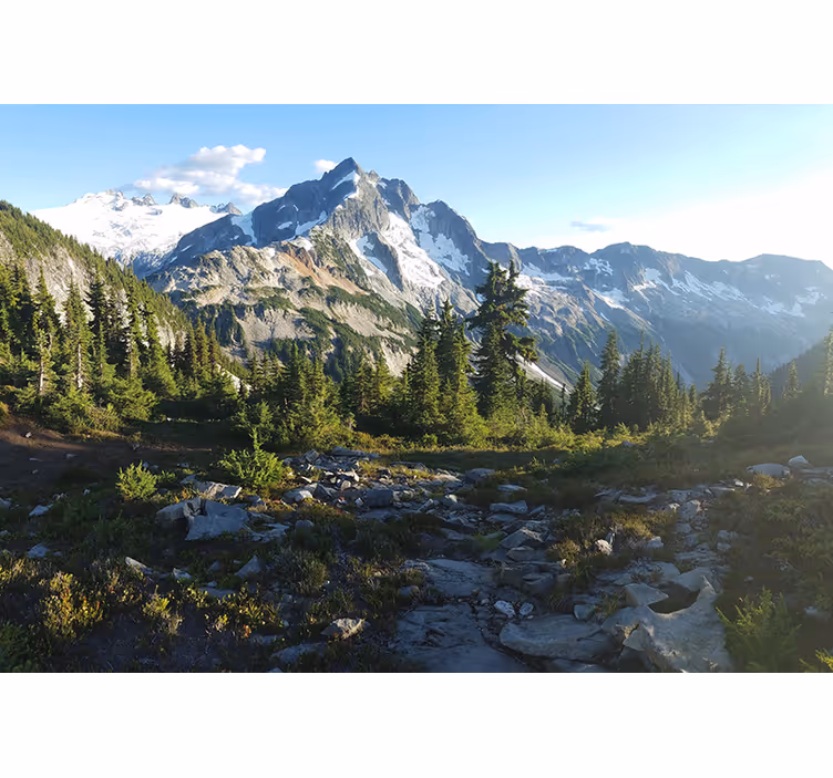 Fototapet peisaje vedere asupra pădurii montane - TenStickers