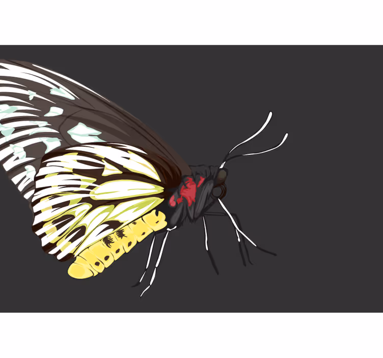 Fototapet cu flori design fluture galben - TenStickers