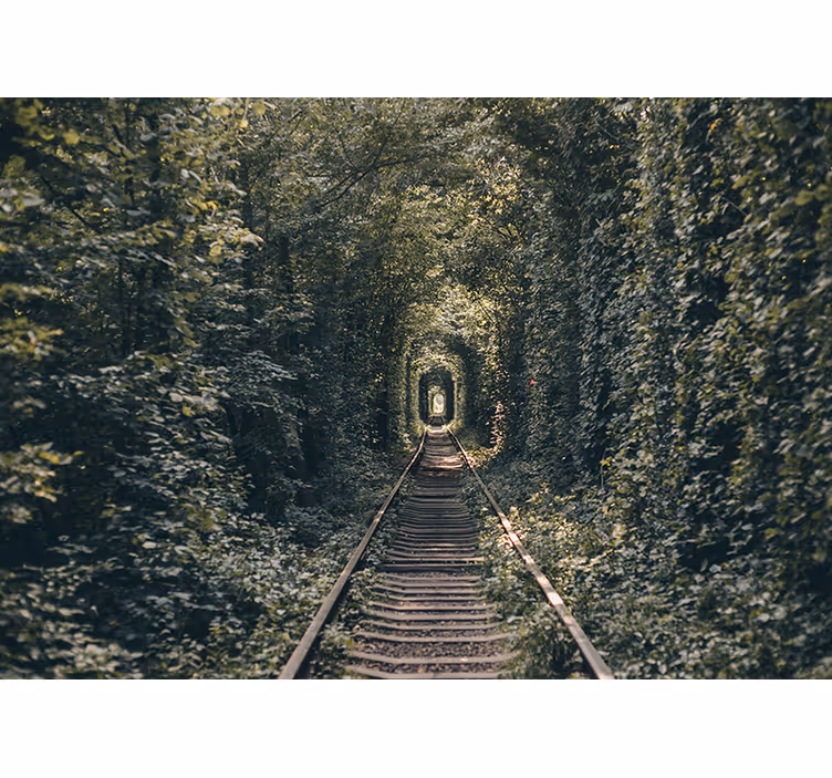 Tunel feroviar de copaci și tufe picturi murale - TenStickers