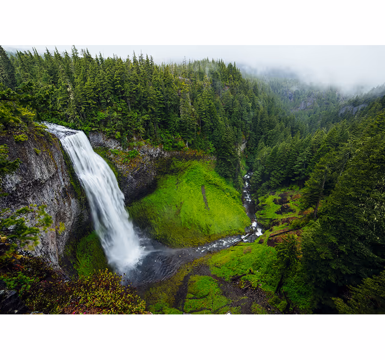 Fototapet natura cascadă verde lush - TenStickers