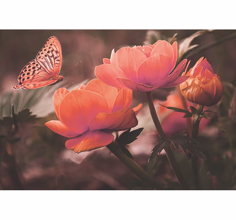 Fototapet cu flori fluture peste flori - TenStickers