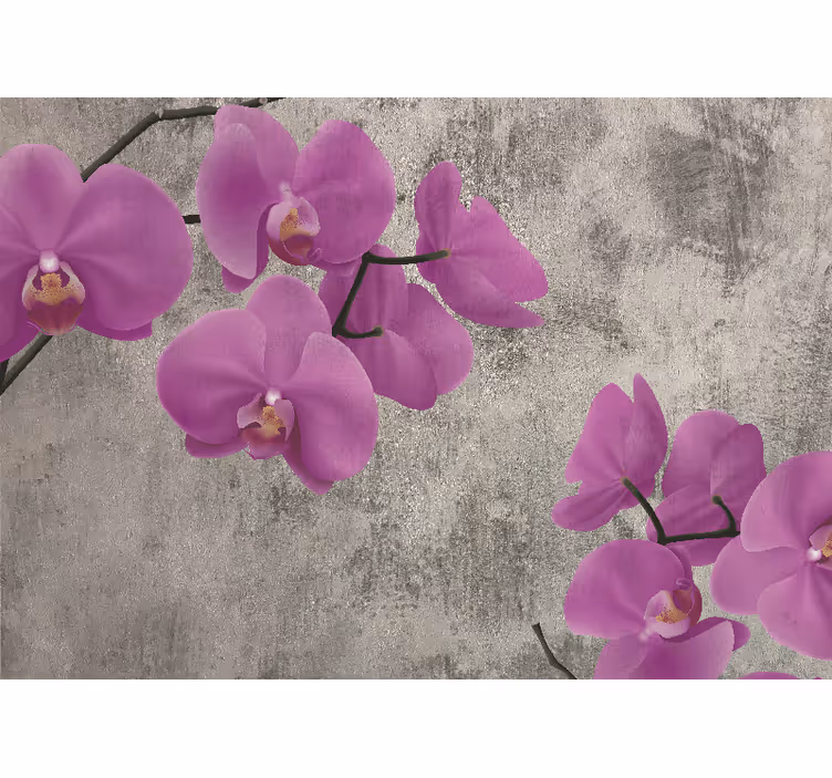 Fototapet cu flori flori de orhidee roz - TenStickers