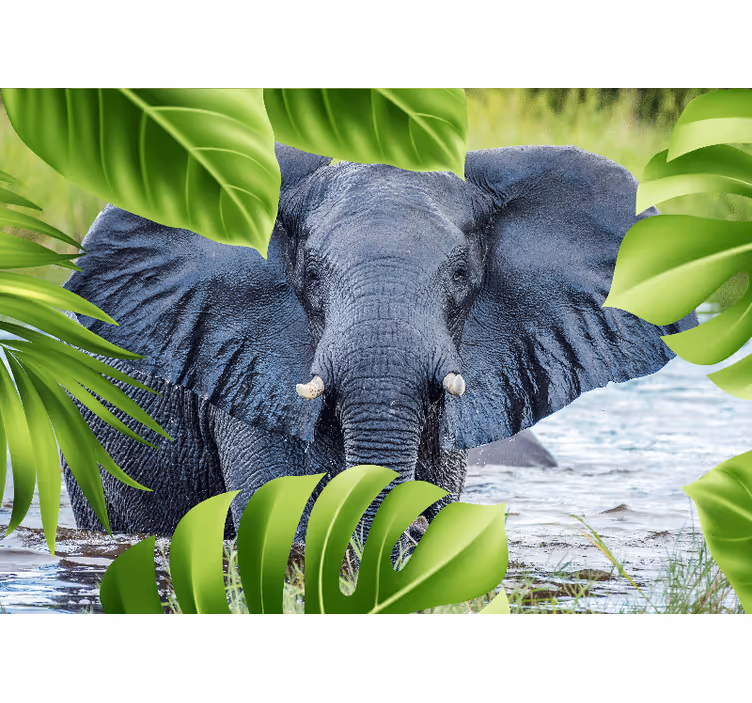 Fototapet animale experiența elefantului regal - TenStickers