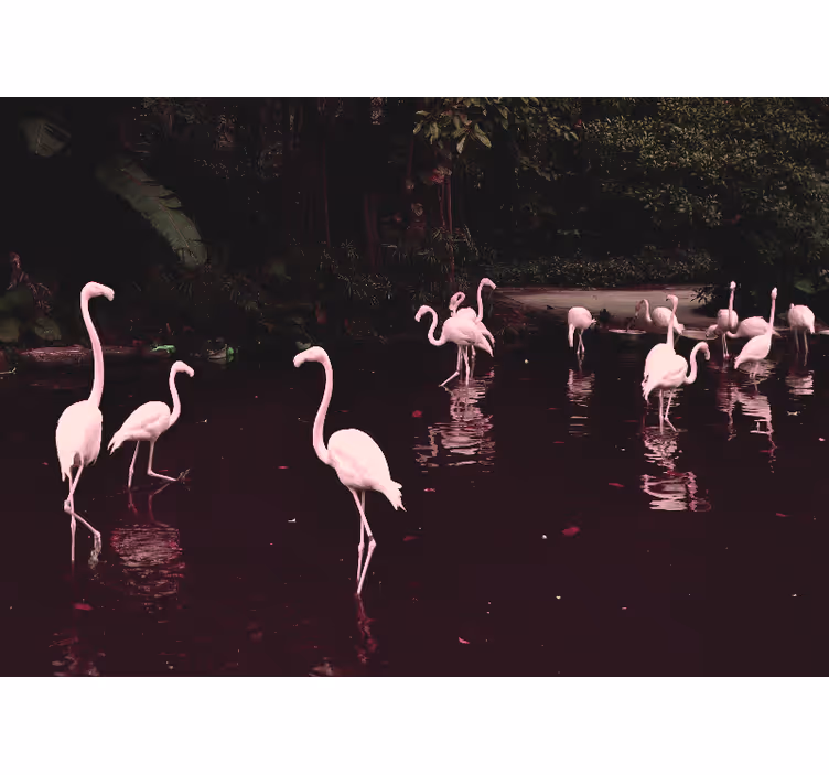 Biroul fototapet adunarea flamingo-urilor elegante - TenStickers