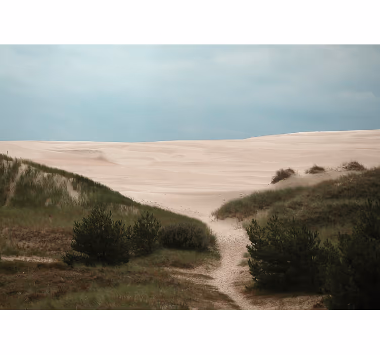 Fototapet peisaje calea dunei de nisip - TenStickers