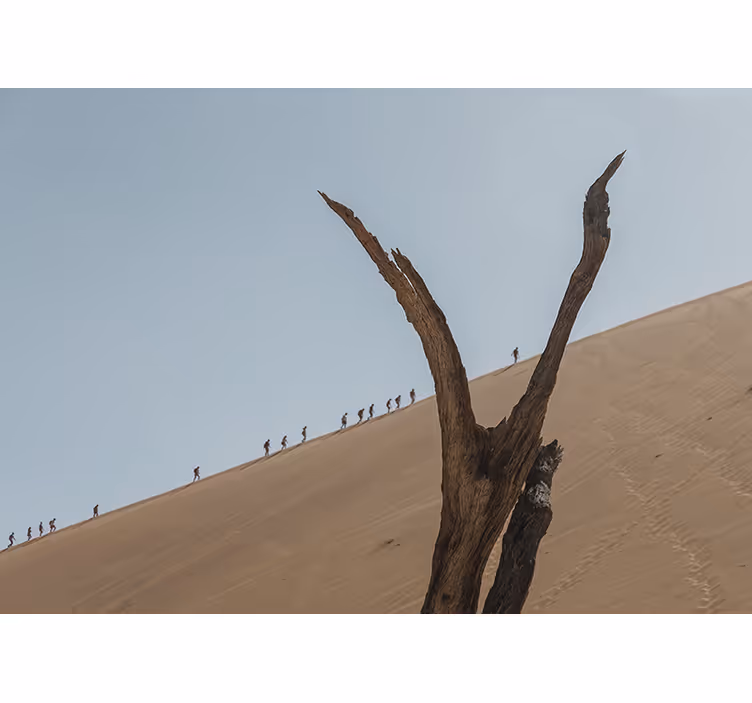 Deșert fototapet silueta drumeților pe dune - TenStickers