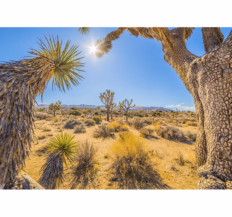 Muntele fototapet peisaj oasis desertic - TenStickers