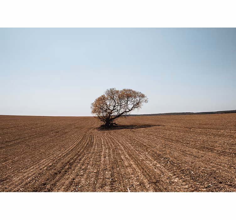 Fototapet natura peisaj cu copac singuratic - TenStickers