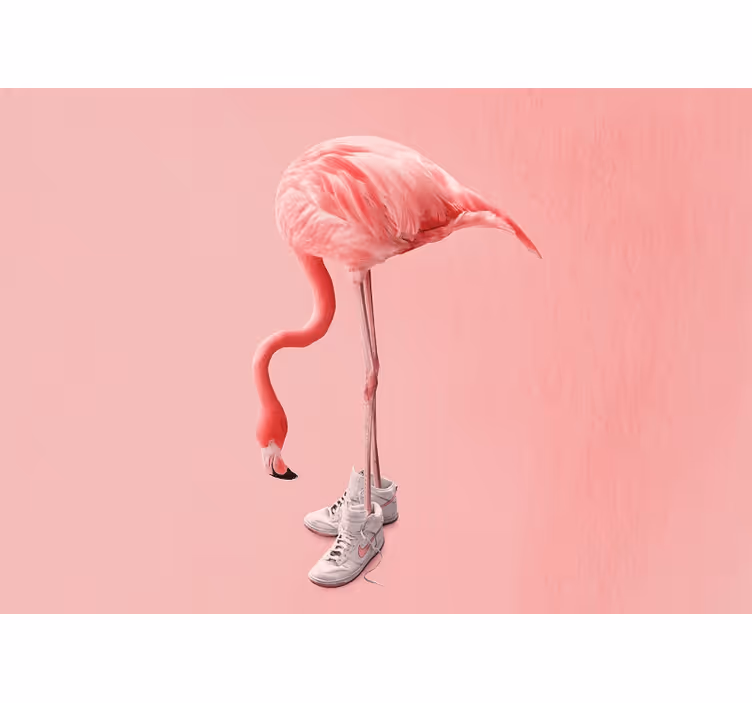 Picturi murale cu alte animale flamingo în adidași - TenStickers