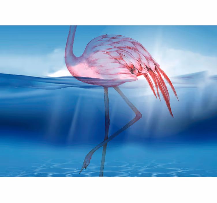 Fototapet animale poziția elegantă a flamingoului - TenStickers