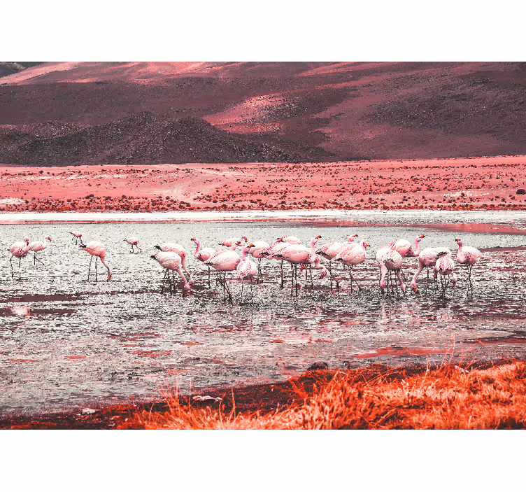Picturi murale cu alte animale peisaj cu flamingo - TenStickers