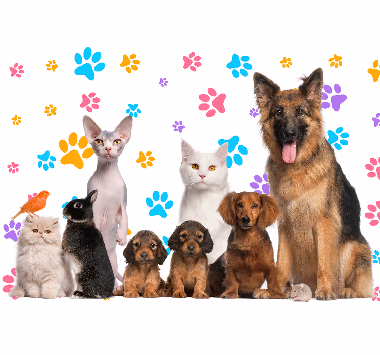 Fototapet cu laba caini si pisici - TenStickers