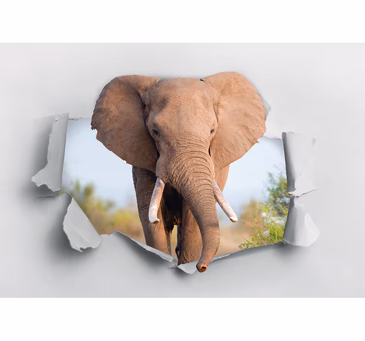 Fototapet animale portret de elefant majestuos - TenStickers