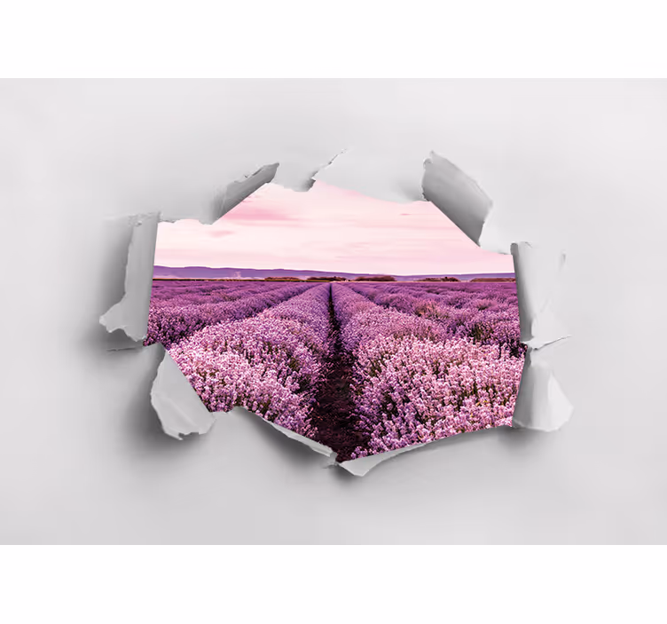 Fototapet cu flori vedere câmp de lavandă - TenStickers