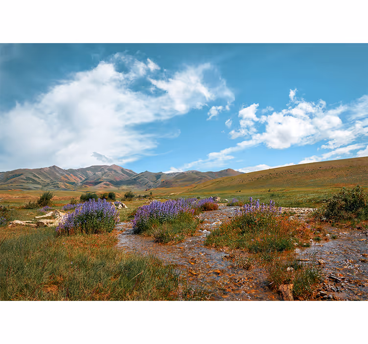Fototapet natura peisaj de luncă senină - TenStickers