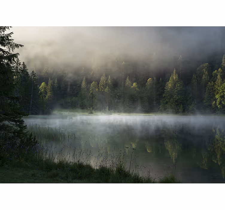 Fototapet natura lacul liniștit și cețos - TenStickers