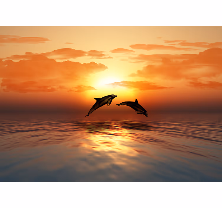 Fototapet animale delfinii sar la apus - TenStickers