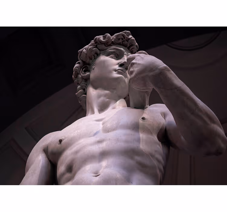 Pictura murală de artă clasică a lui michelangelo david - TenStickers
