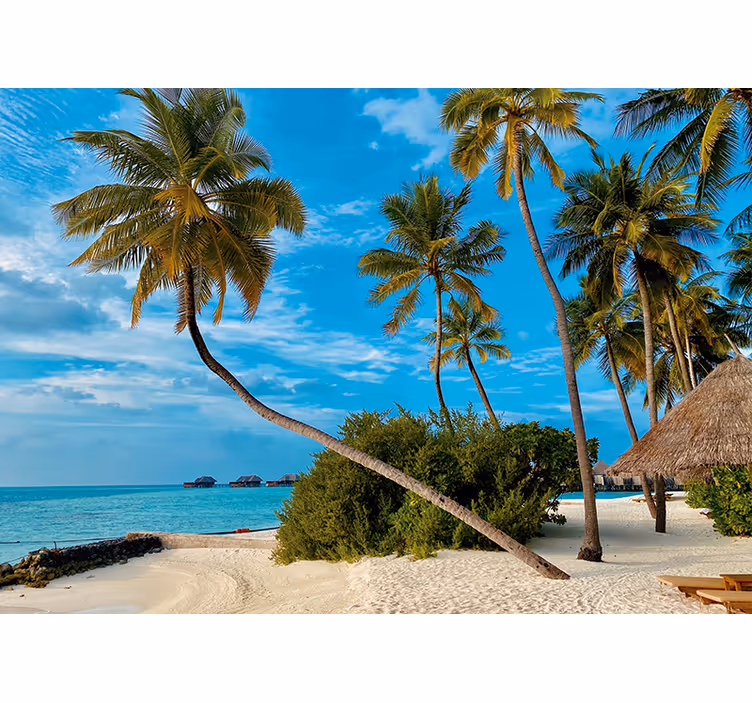 Fototapet natura peisaj cu palmieri tropicali - TenStickers
