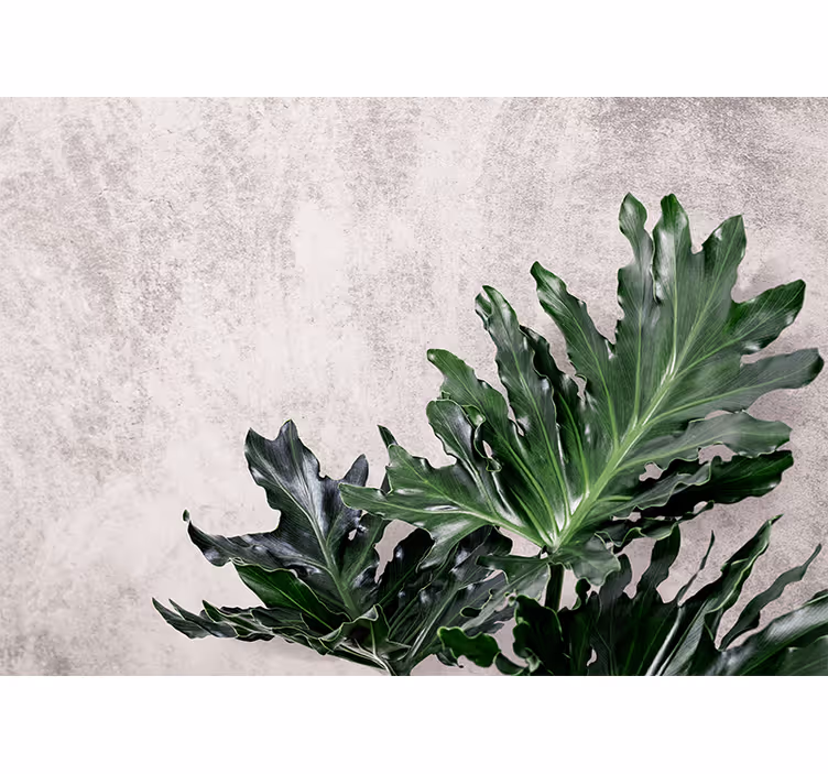 Fototapet natura verdele luxuriant de frunze - TenStickers