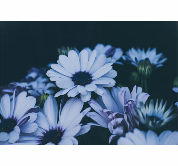 Fototapet cu flori aranjament floral seren - TenStickers