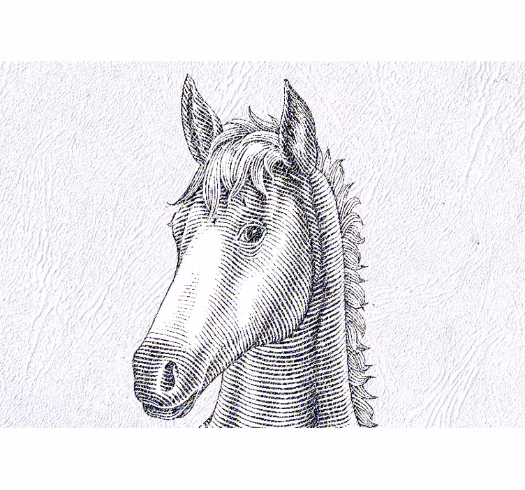 Fototapet animale portret elegant de cal - TenStickers