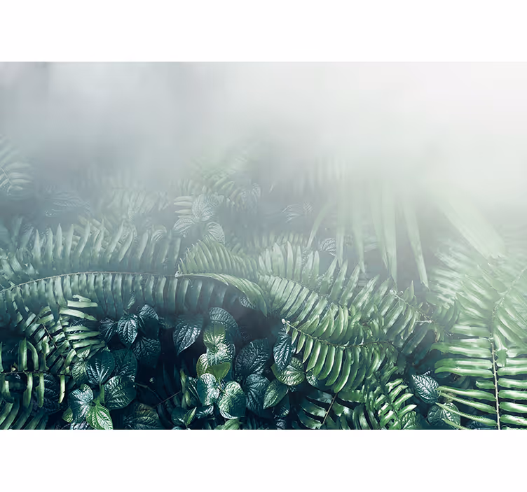 Fototapet natura peisaj verde vibrant - TenStickers
