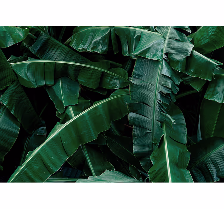 Fototapet natura frunziș verde vibrant - TenStickers